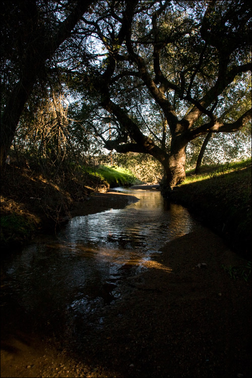 creek (229k image)